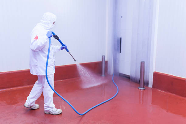 Best Graffiti Removal  in Cedar Hill, MO